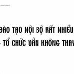 ĐÀO TẠO NỘI BỘ RẤT NHIỀU NHƯNG TỔ CHỨC VẪN KHÔNG THAY ĐỔI? PHẢI LÀM SAO?